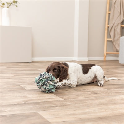 Trixie Hund Aktivität Schnüffelball