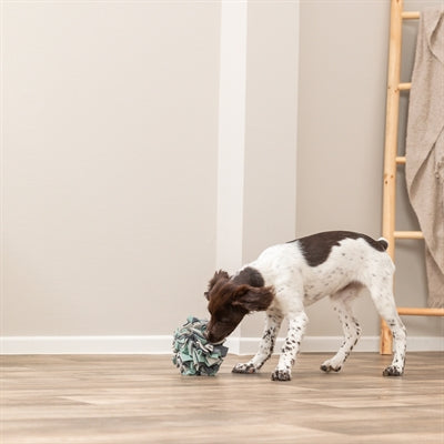 Trixie Hund Aktivität Schnüffelball